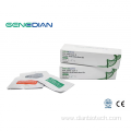 Molecular Diagnostic COVID-19 Nucleic Acid Detection Kit